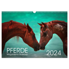  Pferde - Magdalena Strakova (Wandkalender 2024 DIN A3 quer), CALVENDO Monatskalender – Magdalena Strakova naptár, kalendárium