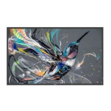 Philips 50BDL3550Q monitor