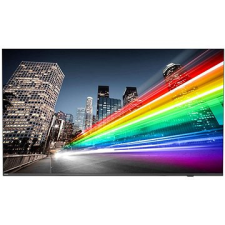 Philips 50BFL2214 monitor