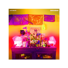 PIAS Underworld - Strawberry Hotel (CD) elektronikus