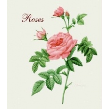 Pierre Joseph Redoute - Roses – Pierre Joseph Redoute idegen nyelvű könyv