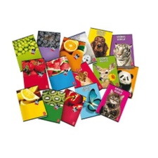 PIGNA Fruits 42 lapos A4 kockás füzet többfajta (P1111-0385) füzet