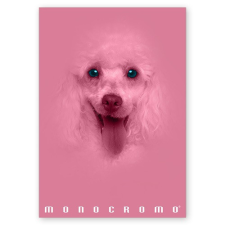 PIGNA Füzet Pigna Monocromo Pink A/4 tűzött 38 lapos kockás füzet
