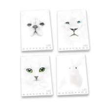 PIGNA Füzet Pigna Monocromo White A/4 38 lapos vonalas füzet