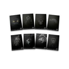 PIGNA Monocromo Black A4 38lapos kockás füzet (P1111-0387) füzet