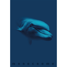 PIGNA Monocromo Blue 38 lapos A4 vonalas füzet - Többfajta füzet