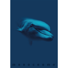 PIGNA Monocromo Blue 38 lapos A4 vonalas füzet - Többfajta (P1111-1856) füzet