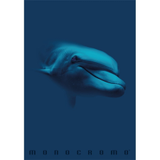 PIGNA Monocromo Blue A4 tűzött 38 lapos kockás füzet füzet