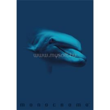 PIGNA Monocromo Blue A4 tűzött 38 lapos kockás füzet (P1111-1855) füzet