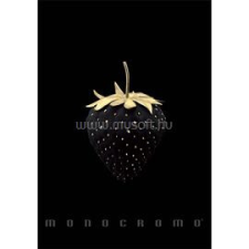PIGNA Monocromo Gold A4 tűzött 50 lapos kockás füzet (P1111-1857) füzet