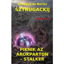 Piknik Az árokparton – Stalker regény