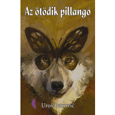 Pillangó Kiadó Az ötödik pillangó gyermek- és ifjúsági könyv