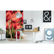 Piros tulipánok, poszter tapéta 150*250 cm tapéta, díszléc és más dekoráció