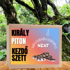  Piton NEXT kezdőcsomag - bébi pitonoknak hüllőfelszerelés