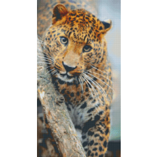  Pixel szett 24 normál alaplappal, színekkel, leopárd (824024) kreatív és készségfejlesztő