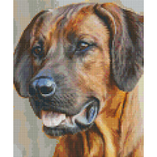  Pixelhobby  806153 Kutya szett 6 alaplapos  (25,4x30,5 cm) kreatív és készségfejlesztő