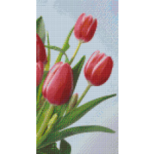 Pixelhobby Pixelhobby  806163 Tulipánok szett 6 alaplapos  (20,3x38,1 cm) kreatív és készségfejlesztő