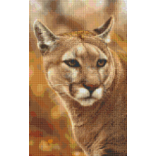 Pixelhobby Pixelhobby 808091 Puma szett 8 alaplapos (25,4x40,6 cm) kreatív és készségfejlesztő