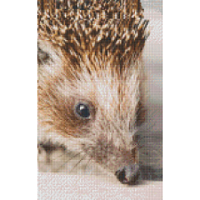 Pixelhobby Pixelhobby 808092 Sünike szett 8 alaplapos (25,4x40,6 cm) kreatív és készségfejlesztő