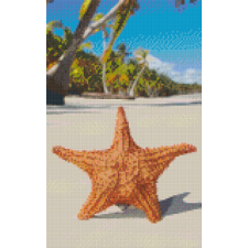Pixelhobby Pixelhobby 808104 Tengeri csillag (25,4x40,6cm) 8 alaplapos szett kreatív és készségfejlesztő