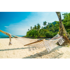  Plaja51 öntapadós tapéta, 250 x 200 cm tapéta, díszléc és más dekoráció