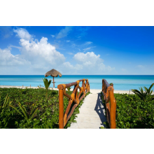  Plaja55 öntapadós és mosható fali tapéta, 250 x 150 cm tapéta, díszléc és más dekoráció