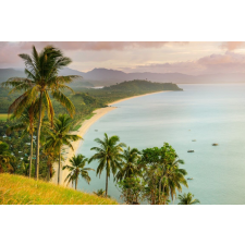  Plaja62 matrica tapéta pálmafákkal, 200 x 150 cm tapéta, díszléc és más dekoráció