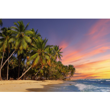  Plaja67 öntapadó és mosható falikép pálmafákkal naplementekor, 350 x 250 cm tapéta, díszléc és más dekoráció