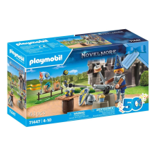 Playmobil ® 71447 Novelmore Lovag szülinap playmobil