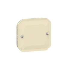  Plexo 55 vakfedél, elefántcsont 069847L Legrand villanyszerelés