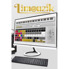 Plug-in-Digital Limouzik (PC - Steam elektronikus játék licensz) videójáték