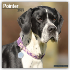 Pointer 2025 - 16-Monatskalender naptár, kalendárium