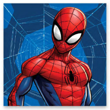 Pókember Web kéztörlő, arctörlő, törölköző 30x30cm lakástextília