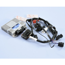 POLINI ECU doboz Vespa 125 Euro 5 Polini Elektronika Gyújtás Gyújtáselektronika (CDI) egyéb motorkerékpár alkatrész