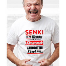  Póló kamionosoknak - Kamionos ajándék - Senki sem tökéletes