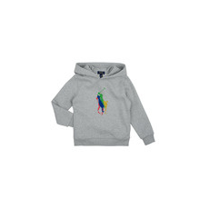 Polo Ralph Lauren Pulóverek PO HOOD-KNIT SHIRTS-SWEATSHIRT Szürke 7 ans
