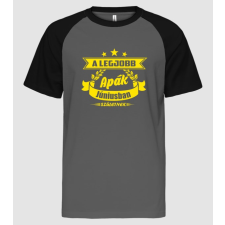 Pólómánia A legjobb apák - Június - Férfi Baseball Póló férfi póló