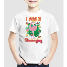 Pólómánia FLAMAZING SZÜLINAPOS 2 éves - Uniszex Gyerek Póló