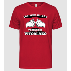Pólómánia Így néz ki egy tökéletes ____VITORLÁZÓ - Férfi Alap póló