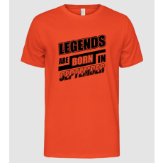 Pólómánia legends born 9 - Férfi Alap póló