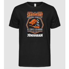 Pólómánia Minden szakácsot egyenlőnek teremtettek... június - Férfi Alap póló férfi póló