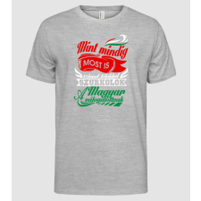 Pólómánia Mint mindig, most is... - Férfi Alap póló férfi póló