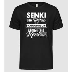 Pólómánia Senki sem tökéletes...kamionosok - Férfi Alap póló