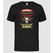 Pólómánia Vigyázat, csodaszép lány - Férfi Alap póló férfi póló