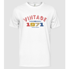 Pólómánia vintage 1971 - Férfi Alap póló férfi póló