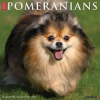  Pomeranians 2027 12 X 12 Wall Calendar (Naptár/Határidőnapló)