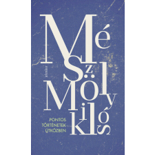  Pontos történetek útközben regény