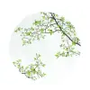  Porcelán desszerttányér 19cm, dobozban, Natura