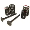 Power Force 64 mm szelepkészlet rugóval GY6 50cc 4T / Agility GY6020015D Power Force  Kategorizálatlan termékek