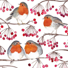 PPD.C133002875 Birds & Berries papírszalvéta 33x33cm, 20db-os papírárú, csomagoló és tárolóeszköz